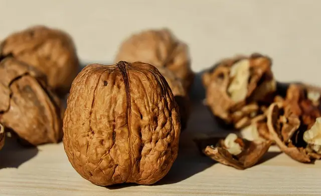 10 Alimentos que Potencian tu Energía Naturalmente