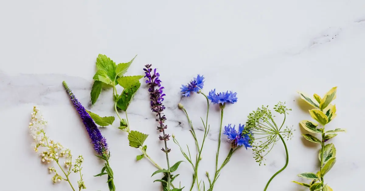 7 Plantas Medicinales que Debes Conocer para tu Bienestar