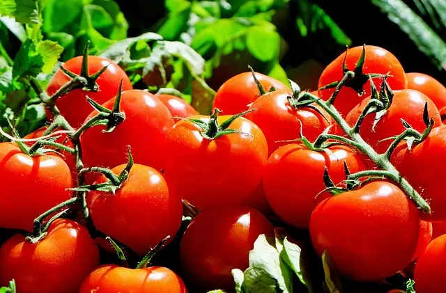 Cómo Fortalecer tu Sistema Inmunológico con Hábitos Saludables