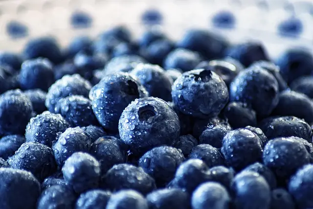 Guía Completa para Mejorar tu Salud Digestiva de Forma Natural