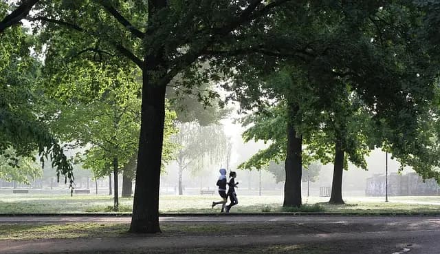 Cómo Mantener la Motivación para un Estilo de Vida Saludable