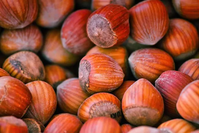 10 Alimentos Esenciales para una Alimentación Saludable