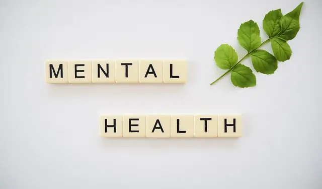 Cómo Mejorar Tu Salud Mental a Través de la Alimentación Sana