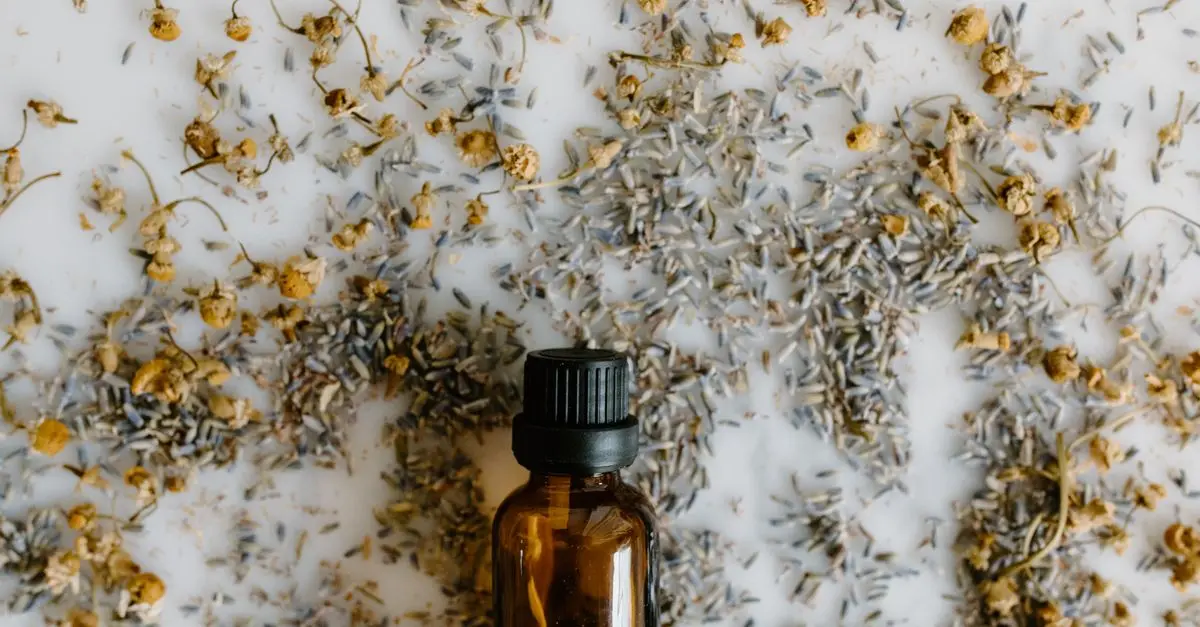 Cómo elegir el mejor aceite esencial para tu salud