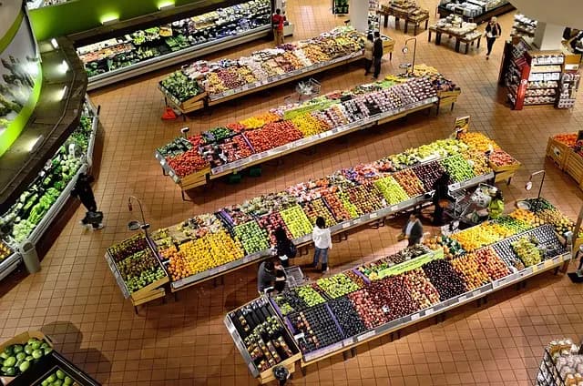 Cómo Crear un Plan de Alimentación Saludable y Sostenible