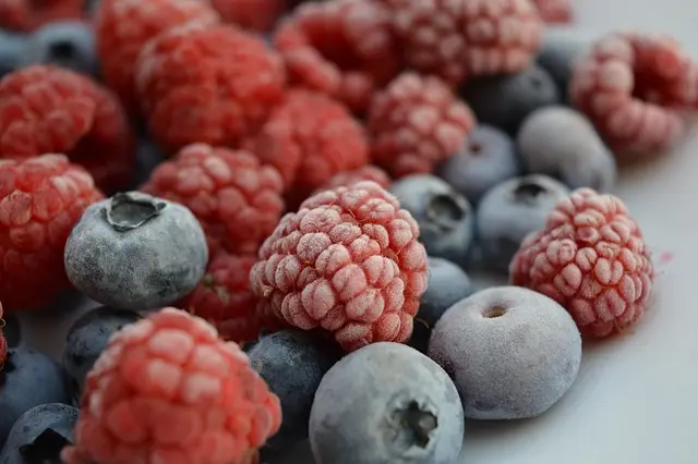 Los Beneficios de Incluir Alimentos Fermentados en tu Dieta