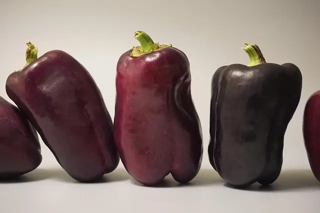 Cómo Mejorar tu Salud Digestiva de Forma Natural