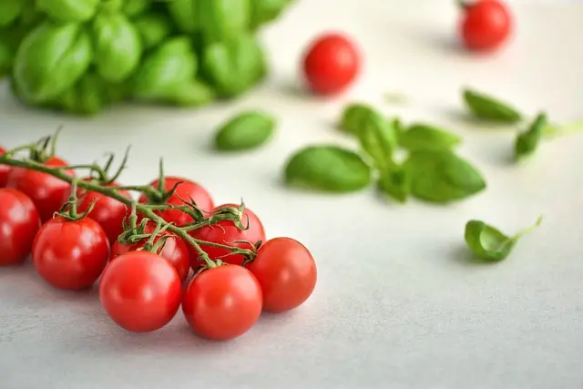 Cómo Crear un Plan de Alimentación Saludable a Largo Plazo