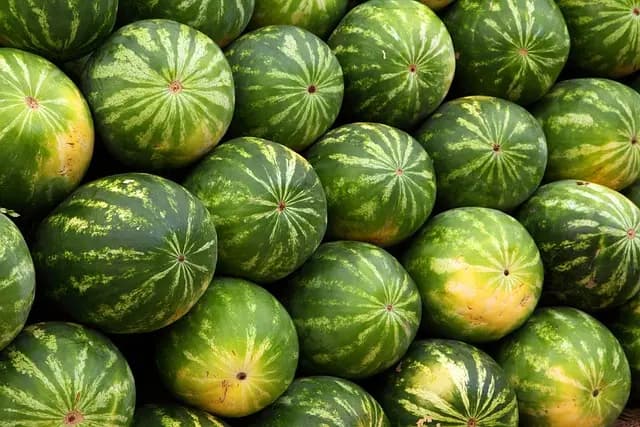 Cómo Aumentar Tu Inmunidad Naturalmente con Hábitos Diarios