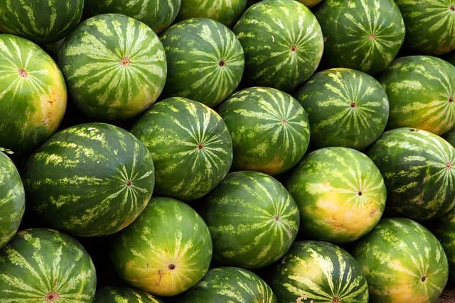 Cómo Fortalecer Tu Sistema Inmunológico con Alimentos Naturales
