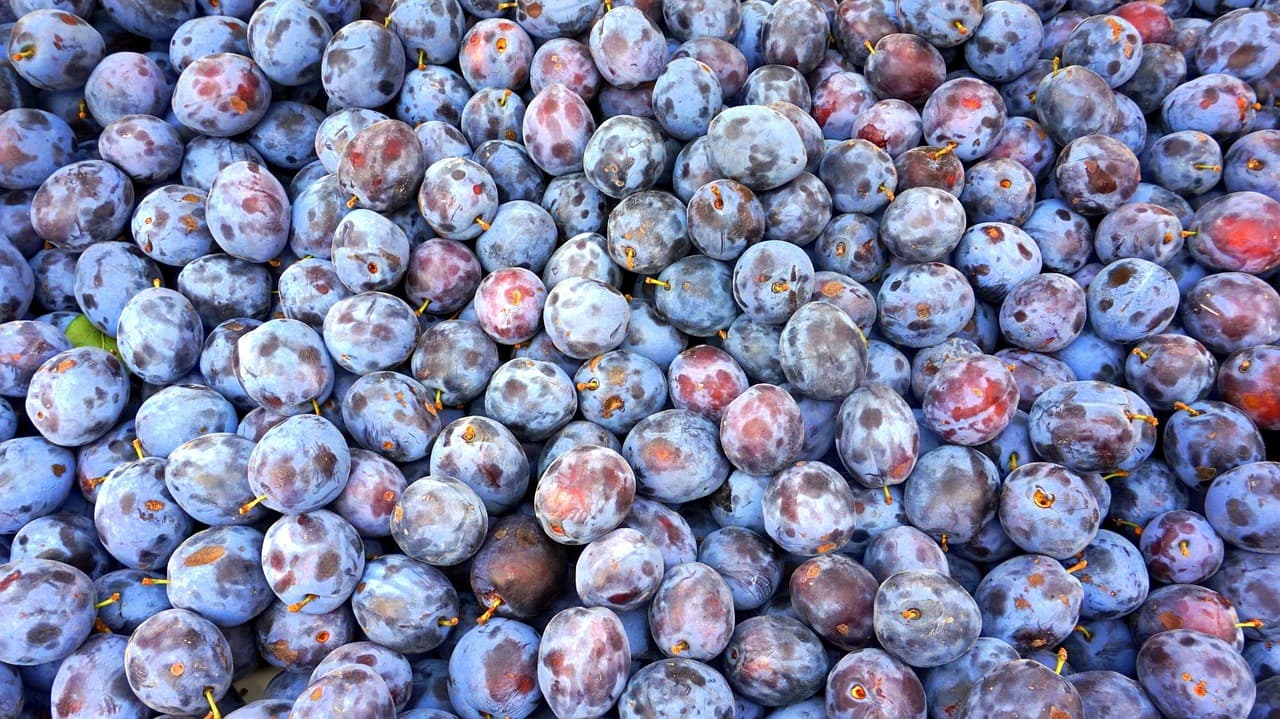 Guía Completa para Mejorar tu Salud Digestiva de Forma Natural