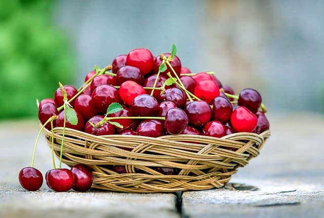 Cómo Mejorar tu Salud Digestiva de Forma Natural