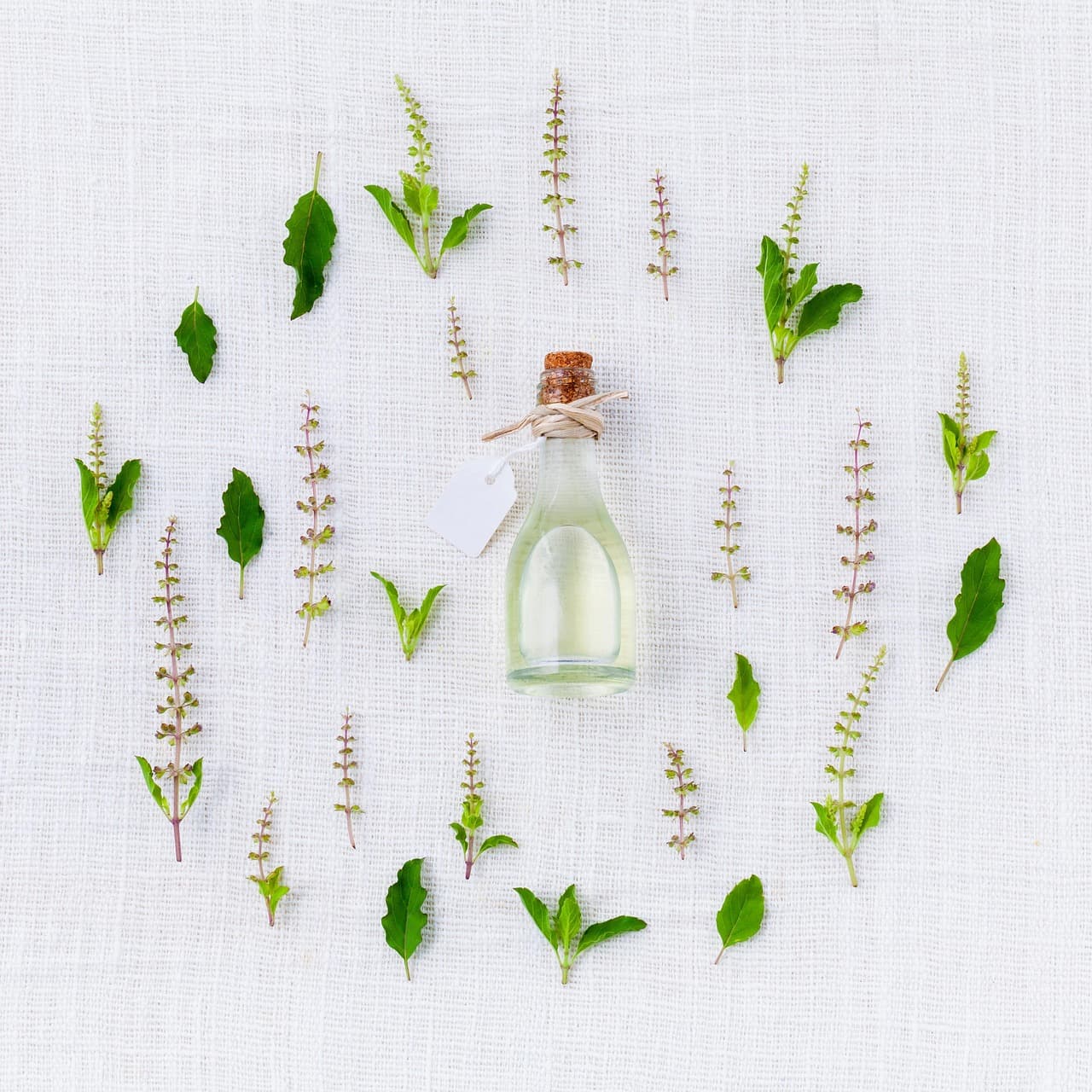 Beneficios de la Aromaterapia para la Salud y el Bienestar