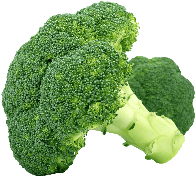 Cómo Fortalecer Tu Sistema Inmunológico de Forma Natural