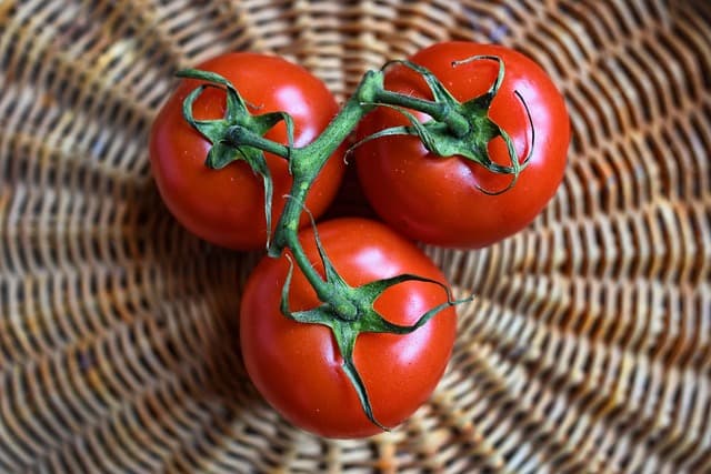 Cómo Fortalecer Tu Sistema Inmunológico Naturalmente