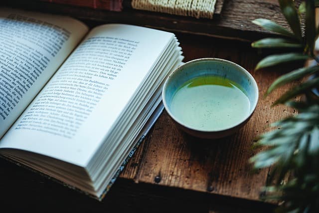 Cómo Preparar Infusiones de Hierbas para Mejorar tu Salud