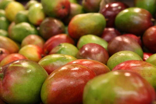 10 Alimentos que Fortalecen tu Inmunidad Naturalmente