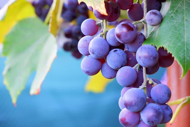 Cómo Aumentar tu Energía Naturalmente con Hábitos Saludables