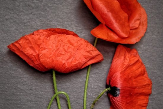 descubre una amplia gama de productos de cuidado personal que te ayudarán a mantenerte fresco y renovado cada día. desde productos para el cuidado de la piel hasta soluciones para el cuidado del cabello, nuestra selección de alta calidad está diseñada para satisfacer todas tus necesidades de belleza y bienestar.