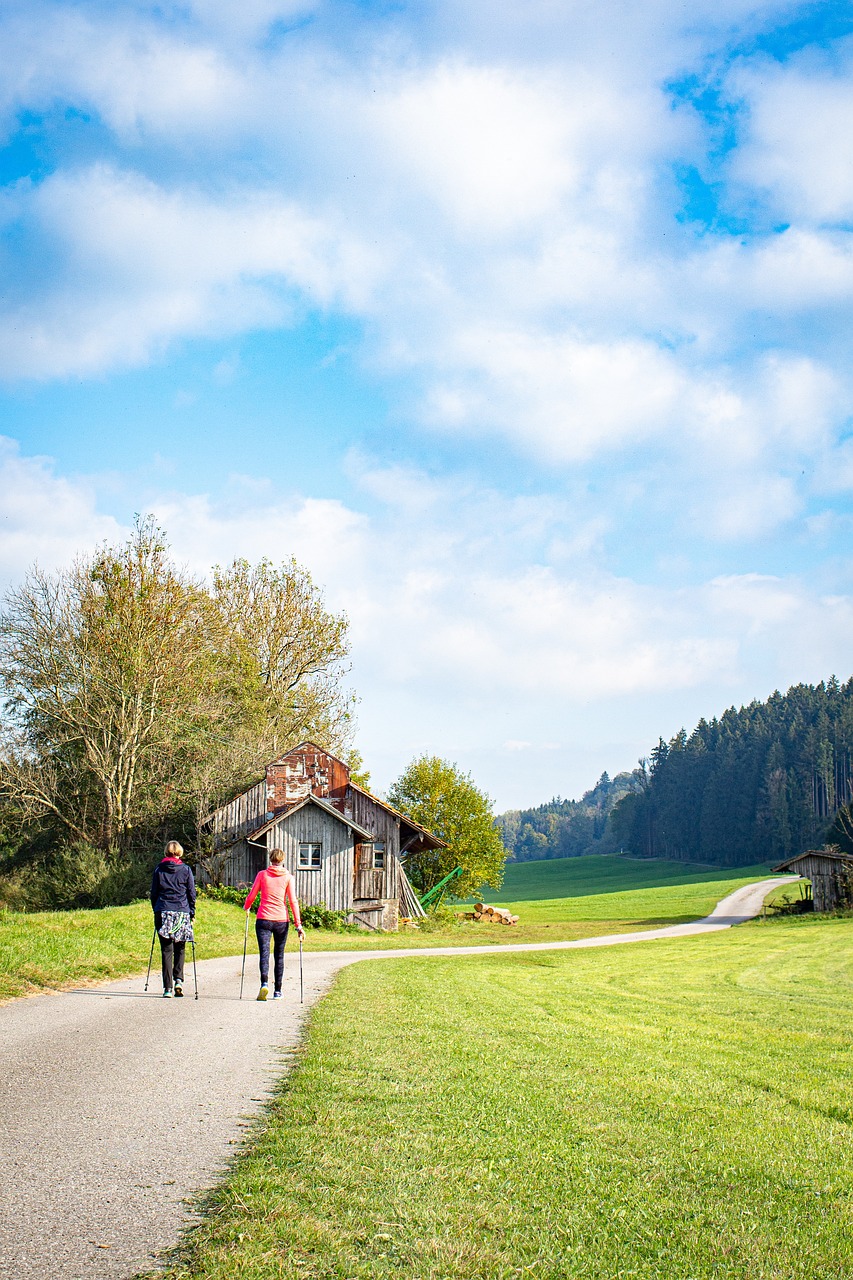 la actividad física es esencial para mantener un estilo de vida saludable. descubre cómo el ejercicio regular puede mejorar tu bienestar físico y mental, aumentar tu energía y reducir el riesgo de enfermedades.
