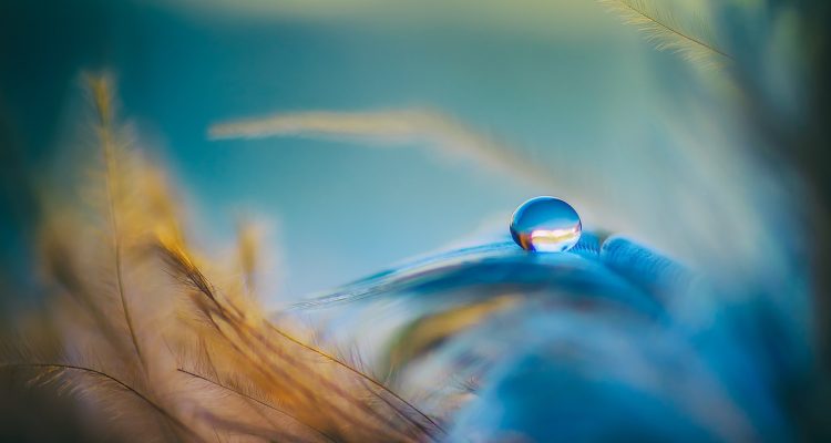 descubre cómo lograr un equilibrio interno en tu vida, mejorando tu bienestar emocional y físico. encuentra técnicas efectivas y consejos prácticos para mantener la armonía en tu día a día.