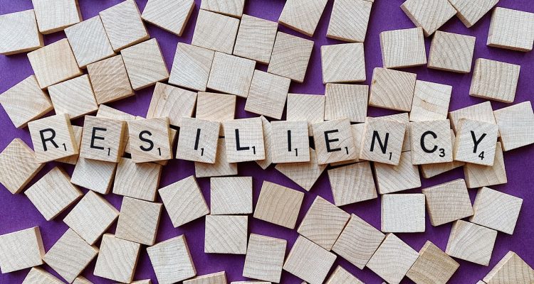 explora el concepto de resiliencia y aprende cómo enfrentar las adversidades, adaptarte a los cambios y crecer a través de los desafíos. descubre estrategias para desarrollar tu fortaleza emocional y superar obstáculos en la vida.