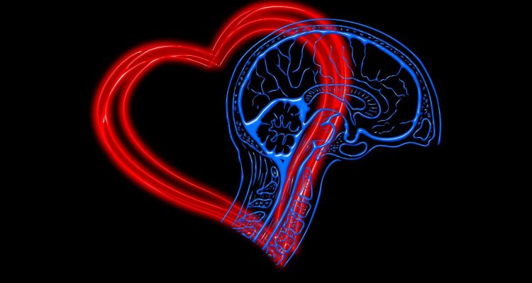 descubre la inteligencia emocional y su importancia en la vida personal y profesional. aprende a manejar tus emociones y mejorar tus relaciones interpersonales, impulsando tu bienestar y éxito.