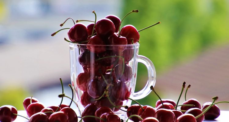 descubre los increíbles beneficios de los productos naturales. desde suplementos hasta cosméticos, explora cómo estos productos pueden mejorar tu bienestar y cuidar del medio ambiente. ¡únete a la revolución natural!