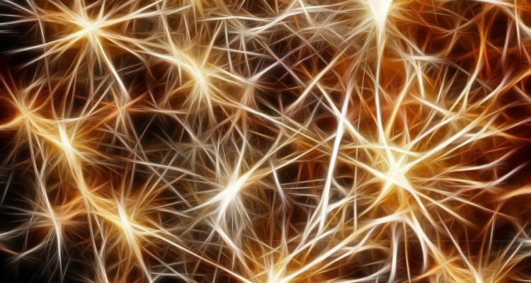 conéctate con la naturaleza y descubre la belleza del mundo natural. aprenda cómo fortalecer su vínculo con el entorno, promover la sostenibilidad y disfrutar de experiencias al aire libre que enriquecen el alma.