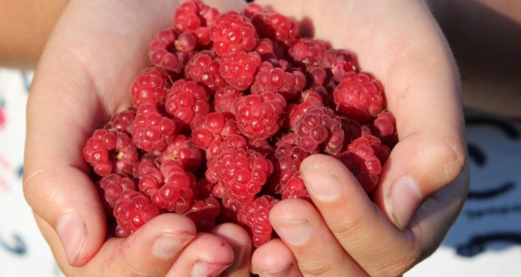 descubre los múltiples beneficios que pueden transformar tu vida. desde mejorar tu bienestar físico hasta potenciar tu crecimiento personal, explora cómo estos aspectos pueden marcar la diferencia en tu día a día.